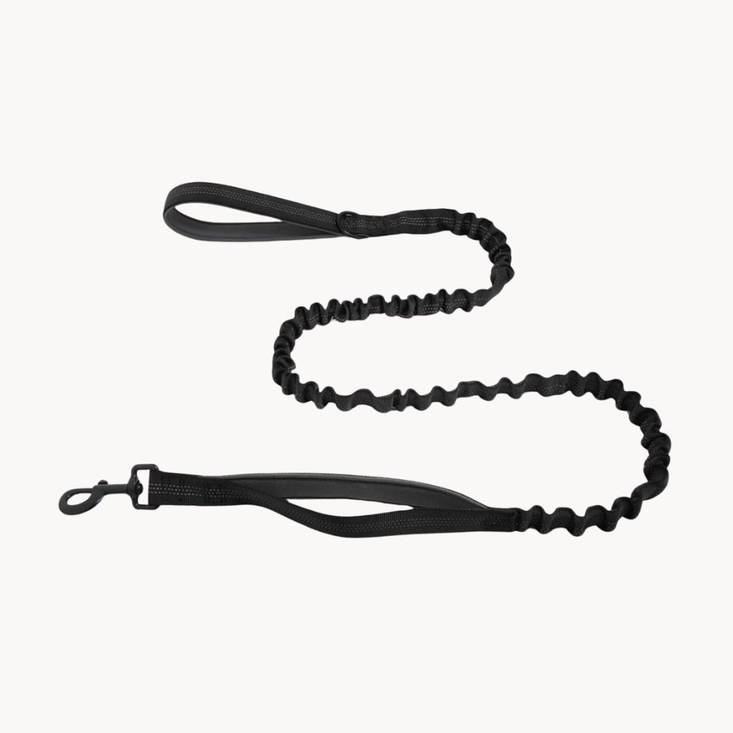 Serevia Bungee Lead