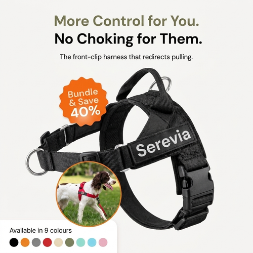 Stop Dreading Walks with Your Dog.