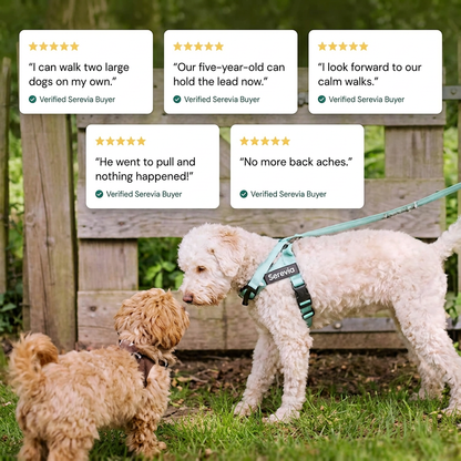 Stop Dreading Walks with Your Dog.