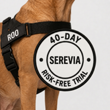 Stop Dreading Walks with Your Dog.