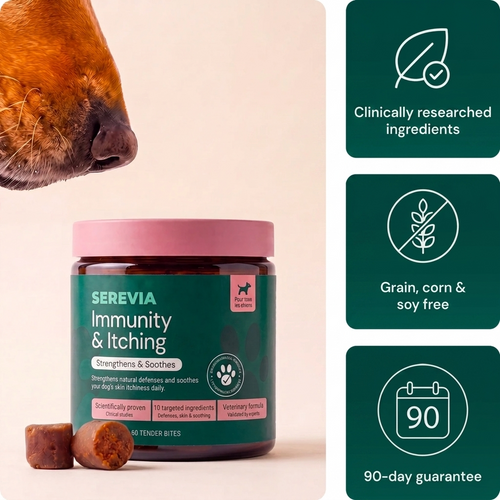 Immunity & Itch Supplement