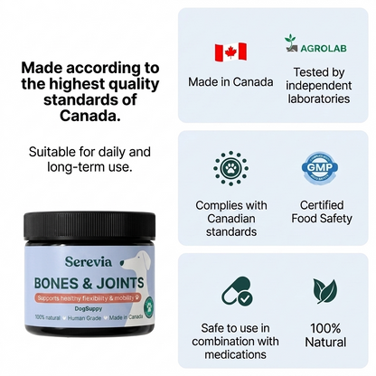 Bones & Joints™
